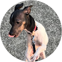 安岡哲裕 profile picture