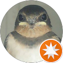 HASIGO M profile picture